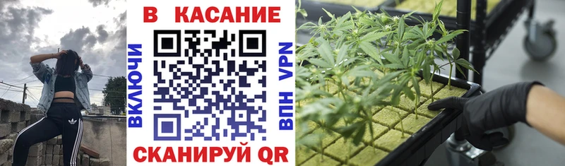 Виды наркоты Новосибирск mega tor  Кокаин  Гашиш  МАРИХУАНА  СОЛЬ 