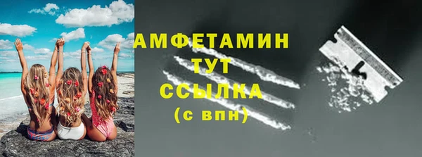 гашик Козловка