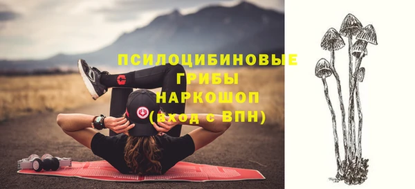гашик Козловка