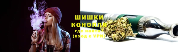 гашик Козловка