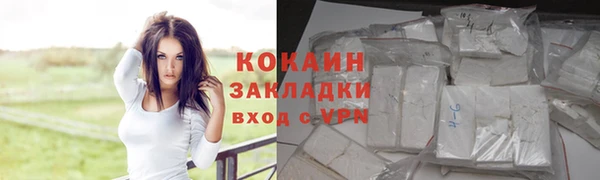 гашик Козловка