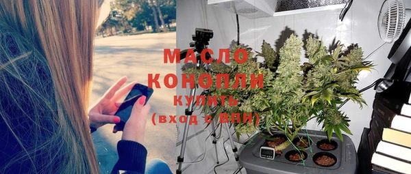 гашик Козловка