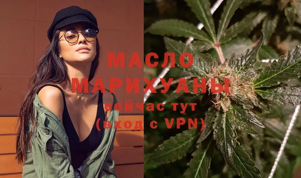 гашик Козловка