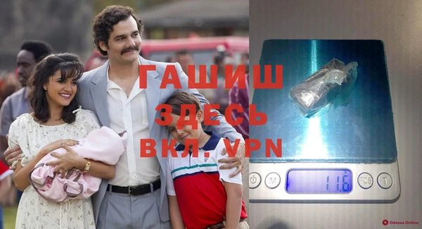 гашик Козловка