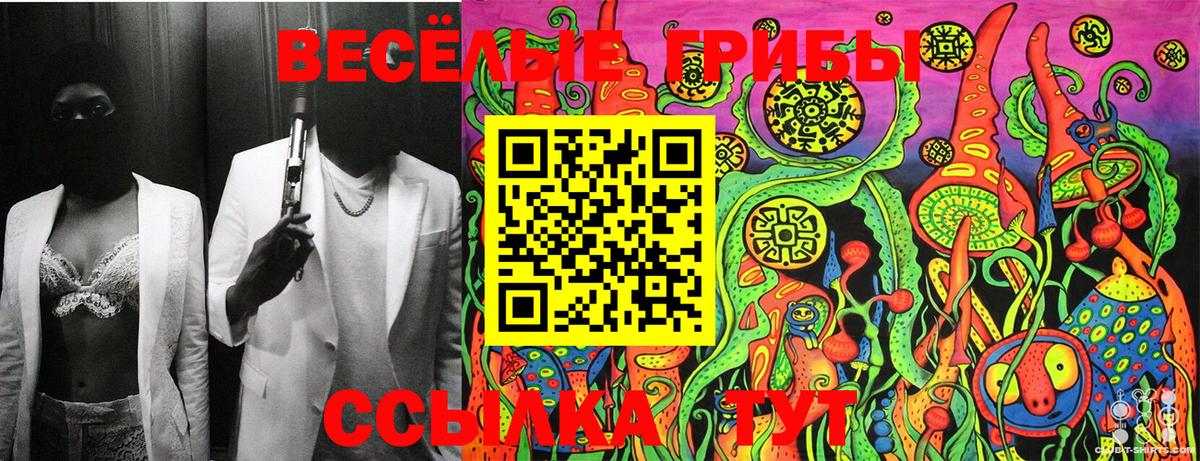 Галлюциногенные грибы мухоморы  Галлюциногенные грибы ЛСД  Новосибирск 