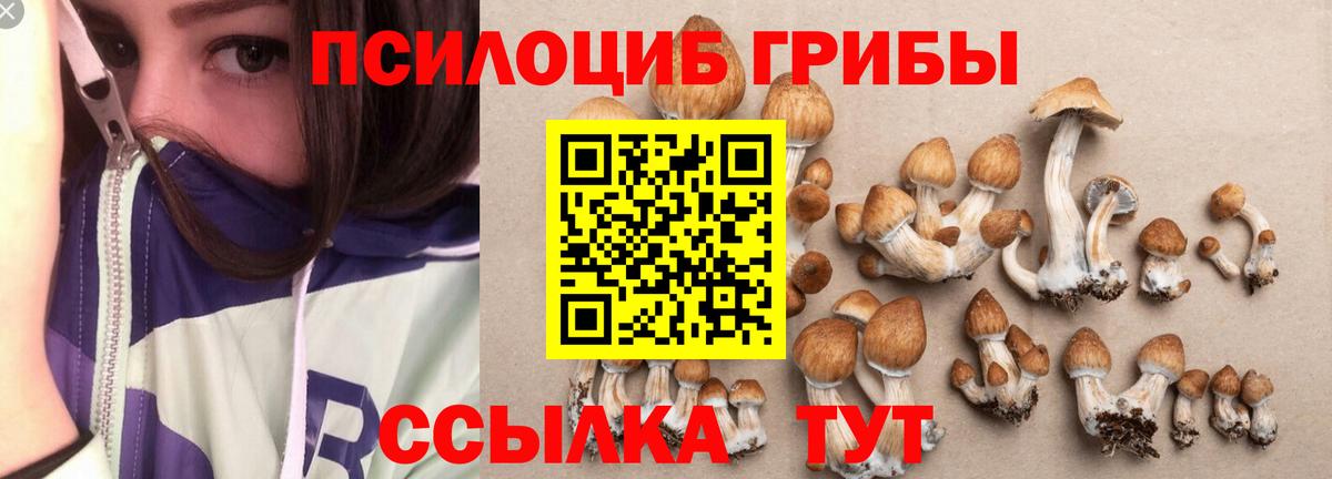 Псилоцибиновые грибы прущие грибы Новосибирск